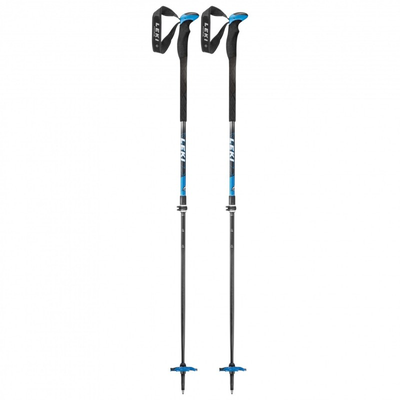 Ski Poles